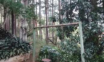 Imagem 4: Linda chácara com 30.000 m2 e escritura registrada