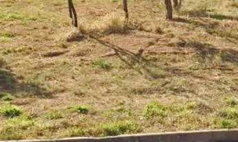 Imagem 4: Lote de 250.42m2 troca e venda em casas e chacaras