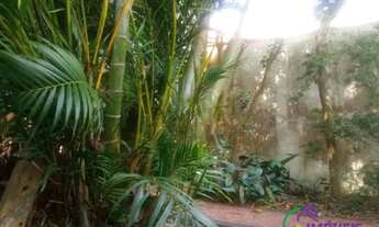 Imagem 4: TERRENO - VILA BAETA NEVES - SP