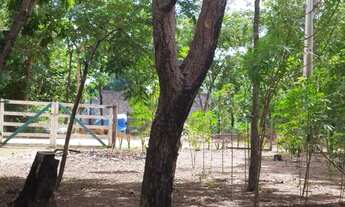 Imagem 6: Casa com três terrenos juntos de 12 x 30 cada, totalizando 1.000 M² no condomíni