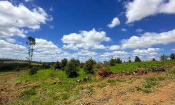 Imagem 3: Terreno Oportunidade de Ouro em Ibiúna
