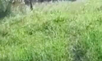 Imagem 5: Lote em Rua Guarani - Centenário - Sapiranga/RS