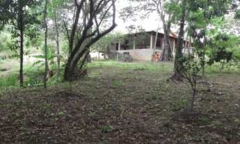 Imagem 7: Maravilho Sitio de 5.000 m², Jaboticatubas (temos varias opções)