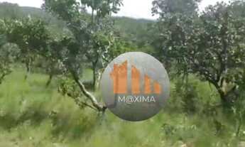 Imagem 7: Fazenda à venda, 1.480 alqueires por R$ 51.800.000 - Araguapaz/GO