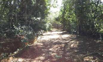 Imagem 6: Fazendinha 20.000m² com rio nos fundos ideal para pescar e nadar, Jaboticatubas(Temos vari