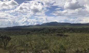 Imagem 5: OPORTUNIDADE - FAZENDA - 30HA - APROX. 12KM DE ALTO PARAÍSO SENTIDO SÃO JORGE - ESCRITURA