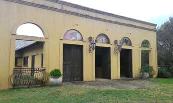 Imagem: ESPETACULAR E CONSAGRADO HARAS FAZENDA