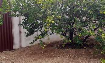 Imagem 2: Vendo Rancho/casa em Paulicéia