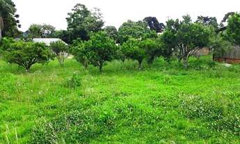 Imagem 6: Excelente chacara com 6,000 m2 com casa 285 m2 380,000 faxina