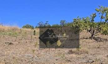 Imagem: Poços de Caldas - Terreno Padrão - Residencial