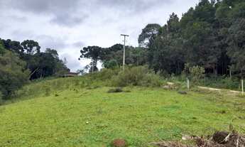 Imagem: Chacara com 6.000 m2 Roça Velha 175.000