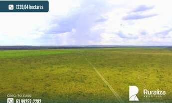 Imagem: Fazenda com aptidão para irrigação na