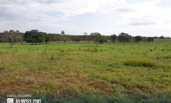 Imagem 3: Fazenda com dupla aptidão na região de Goianorte - TO