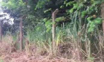 Imagem 6: Terreno - Samambaia Campus