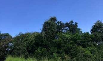 Imagem 5: BIGUAçU - Terreno Padrão - SANTA CATARINA