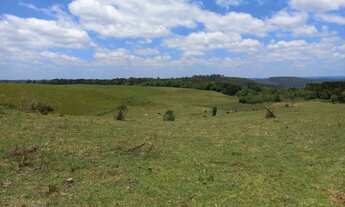 Imagem 4: Chácara Muniz R.210.000