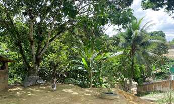 Imagem 2: GRANJA COM GRANDE TERRENO (CERCA DE 2 HECTARES) EM ALDEIA!