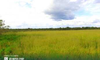 Imagem 2: Fazenda com aptidão para irrigação na região de Guaraí - TO