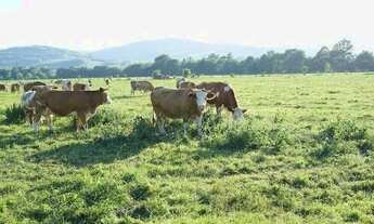 Imagem: AF- Fazenda entrada R$33.000