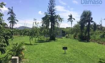 Imagem 2: Terreno Industrial à venda, Salseiros, Itajaí -