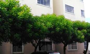 Imagem 3: Aluga Ótimo Apartamento 52 m2 com 2 quartos em Prefeito José Walter - Fortaleza - CE