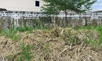 Imagem 5: Vendo lote no bairro São Judas Tadeu, Guarapari