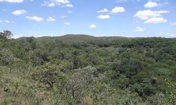 Imagem 4: Erreno rural de 15 ha,pertinho da Serra do Cipó(Temos varias opçoes)