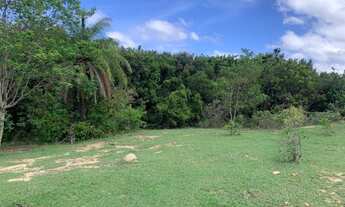 Imagem 7: Chácaras de 20.000m² com nascente, Jaboticatubas(Temos varias opções)