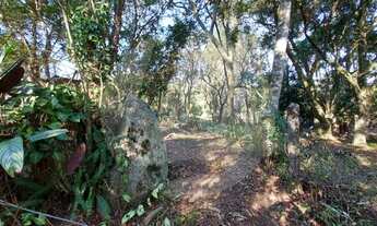 Imagem 3: Viamão - Terreno Padrão - Viamópolis