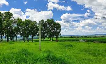 Imagem 5: Fazenda - Indiara (GO