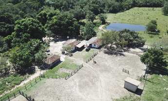 Imagem: Fazenda com 117 alqueires em Goiás Velho