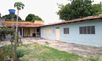 Imagem 5: Casa Parque Amazônia