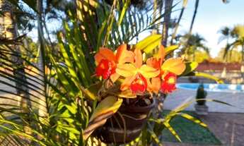 Imagem 6: Fazenda/Sítio/Chácara para venda tem 277 metros quadrados com 3 quartos