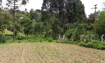 Imagem 7: Excelente Chácara