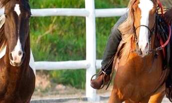 Imagem: TERRENO EM CONDOMÍNIO FECHADO