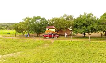 Imagem 4: Fazenda para Venda em Santa Rita do Tocantins, Região produtora em expansão