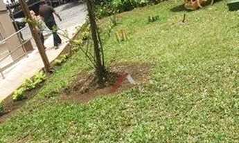 Imagem 4: Apartamento com 2 dormitórios à venda, 55 m² por R$ 210.000 - Santa Terezinha - São Bernar