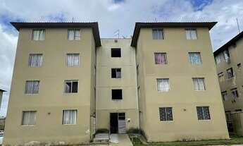 Imagem 4: Ap Guaraituba ent 5mil+parc 699,00