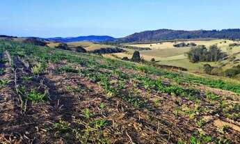 Imagem 5: Lote/Terreno para venda tem 500 metros quadrados em Centro - Atibaia - SP