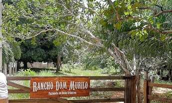 Imagem: Chacara Lago do Manso