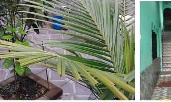 Imagem 2: Casa Padre Miguel