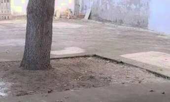 Imagem 4: Alugo casa em Araraquara - Condomínio Fechado