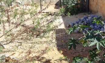 Imagem 6: Lote para Venda em Ribeirão das Neves, Nova União