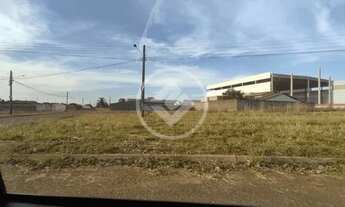 Imagem 2: Terreno Trindade codigo: 24749