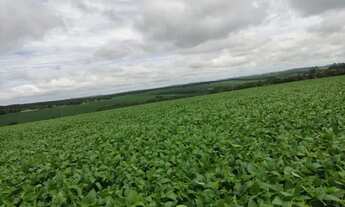 Imagem: Fazenda com 145 Alqueires à venda em Itapetininga