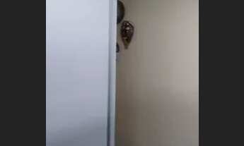 Imagem 2: Quitinete - Centro Atividades do lago norte