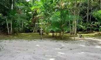 Imagem 4: Chácara com igarapé