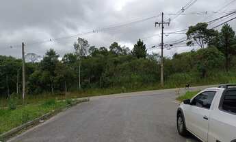 Imagem 3: Rua Asltaltada - Terreno à venda, 180 m² - Parque do Embu - Colombo/PR