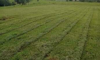 Imagem 2: Lindo terreno de 6.050 M² Município de Conchas
