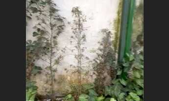 Imagem 5: Casa comercial para locação, Moema, São Paulo